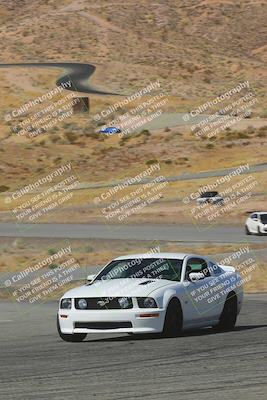 media/Feb-22-2025-Team Topak Racing (Sat) [[cb57a51a40]]/Intermediate Low 2/Turns 13 and 14/